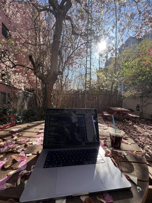 Odd Fox Coffee by null