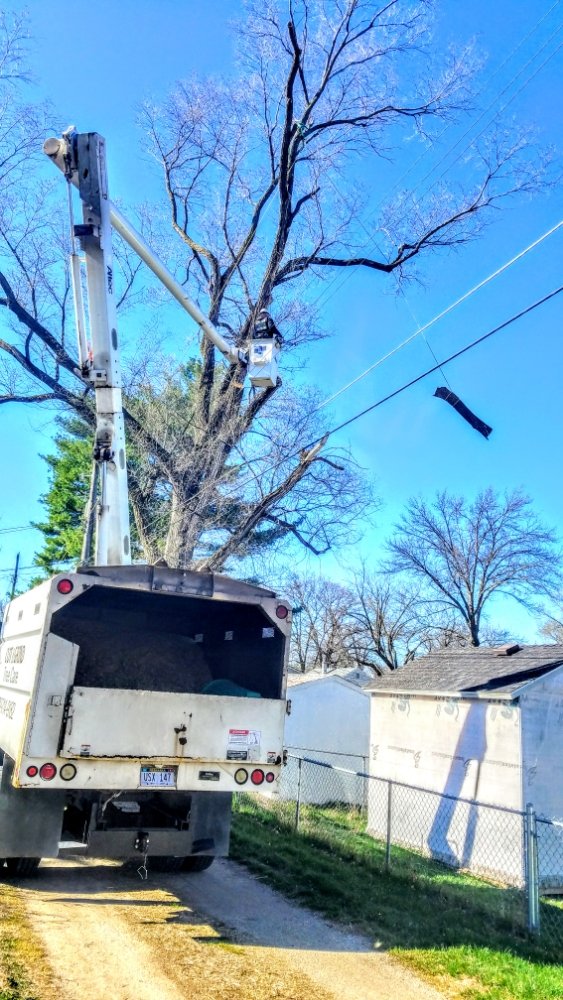 Cut and Grind Tree Care - tree service in Omaha, NE