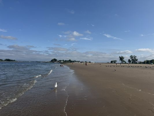 Orchard Beach by null