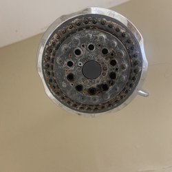 Super 8 Motel - Shower head