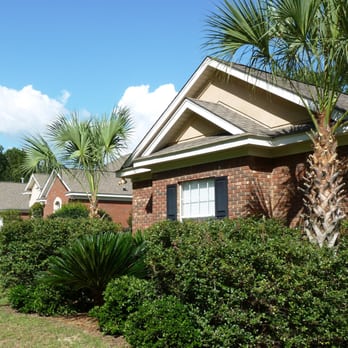 Perfection Lawn Services - a palm tree in front of a house - Lawn Services Near Me - Tallahassee, Florida Perfection Lawn Services - a palm tree in front of a house - Lawn Services Near Me - Tallahassee, Florida