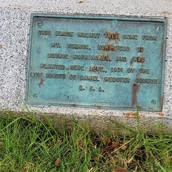 Downtown Concord Historic District - Black walnut tree plaque - Landmarks & Historical Buildings Near Me - Concord, New Hampshire Downtown Concord Historic District - Black walnut tree plaque - Landmarks & Historical Buildings Near Me - Concord, New Hampshire
