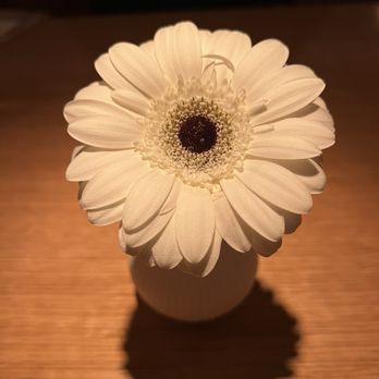 Makoto - Japanese Near Me - Miami Beach, Florida