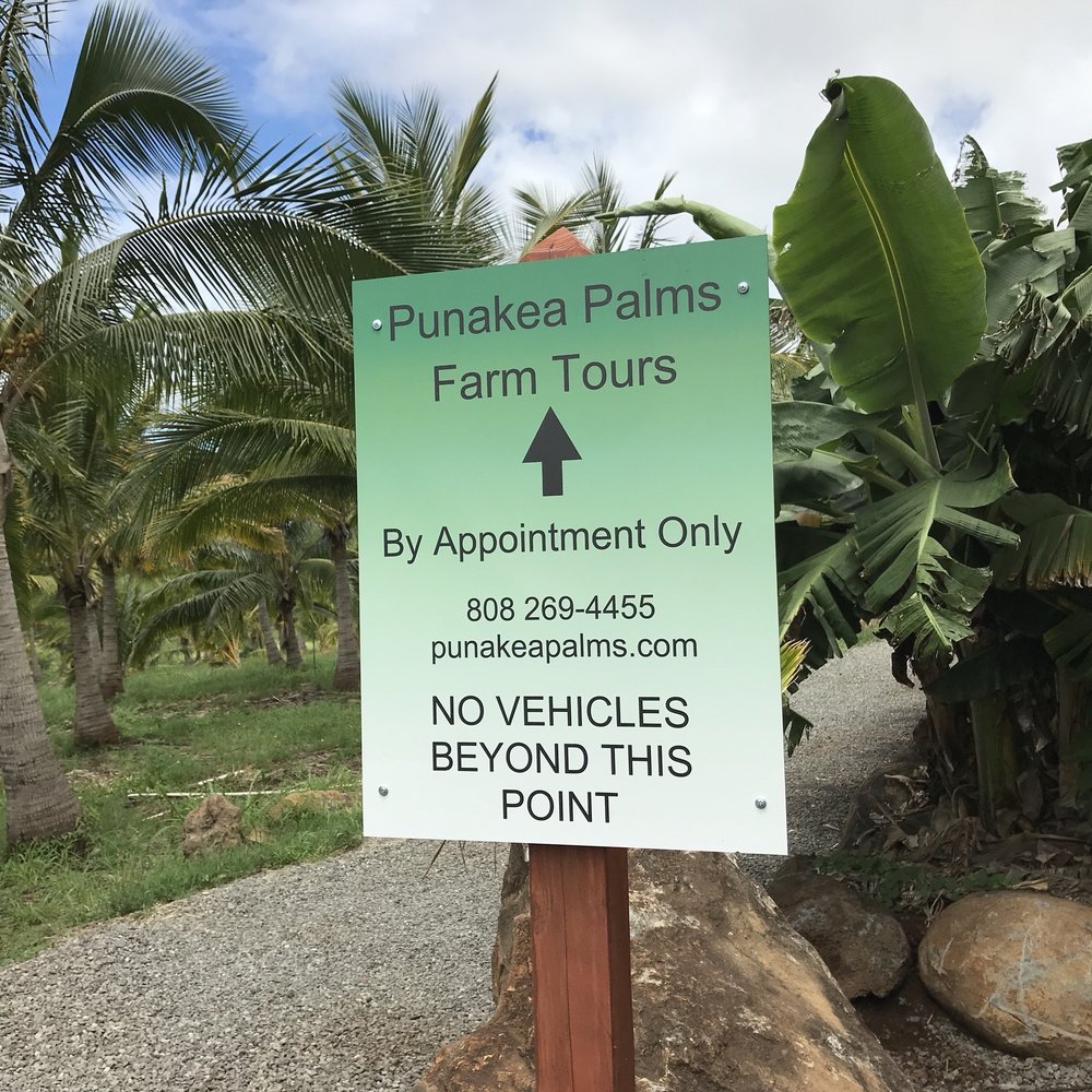 Punakea Palms - Tours Near Me - Lahaina, Hawaii Punakea Palms - Tours Near Me - Lahaina, Hawaii