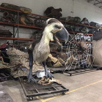 The Dinosaur Company - Prey bird - Museums Near Me - Allen, Texas The Dinosaur Company - Prey bird - Museums Near Me - Allen, Texas