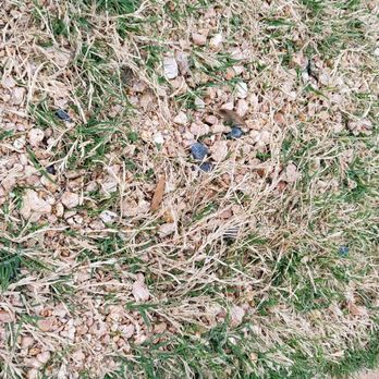 Southern Turf Co. - Artificial Turf Near Me - Austin, Texas Southern Turf Co. - Artificial Turf Near Me - Austin, Texas