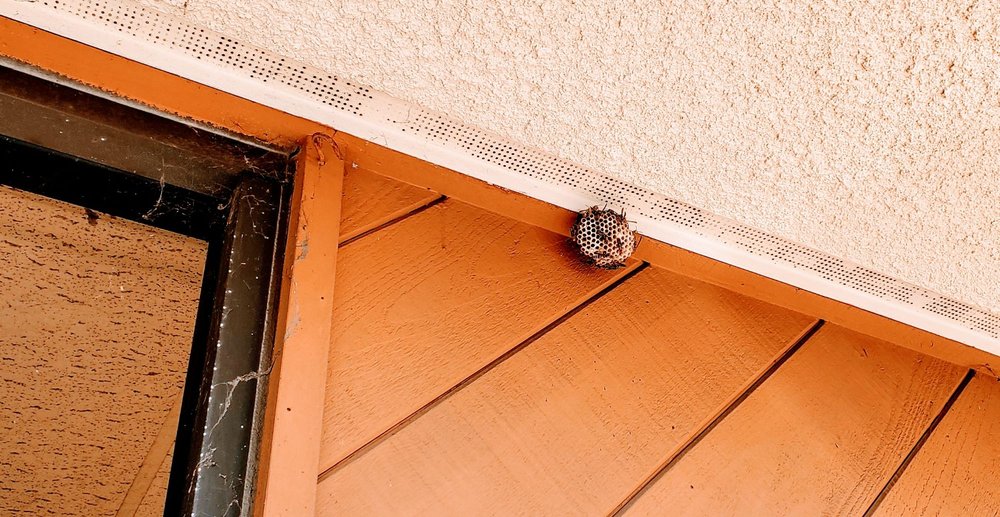 US POST OFFICE Updated October 2024 24 Photos & 42 Reviews 8111 Newmark Ave, Rosemead