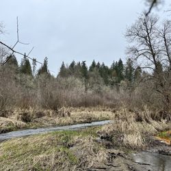 Salmon Creek Greenway Trail