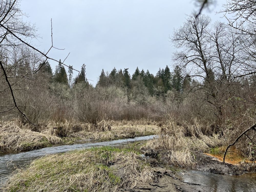 Salmon Creek Greenway Trail