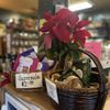 St Thomas Roasters gift card