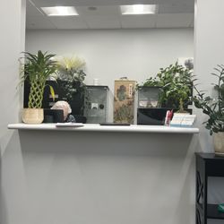 Brianna Cheney, DC - Reception area