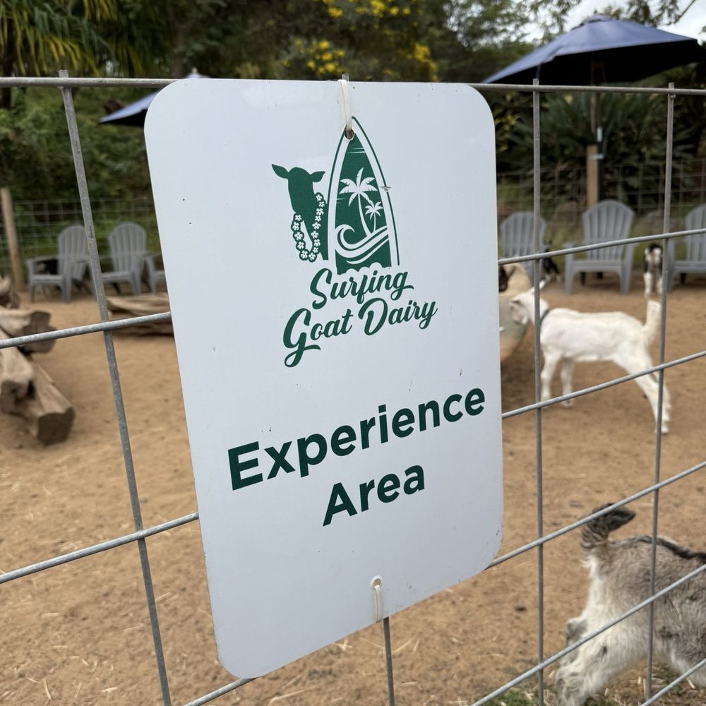Surfing Goat Dairy - Where we cuddled baby goats - April 2025 - Cheese Shops Near Me - Kula, Hawaii Surfing Goat Dairy - Where we cuddled baby goats - April 2025 - Cheese Shops Near Me - Kula, Hawaii