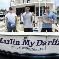 Marlin My Darlin Sportfishing