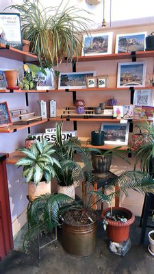 temos coffee by null