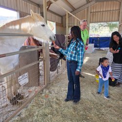 Copper Horse Riding Ranch - Birthday girl feeding the horses.