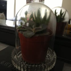 North Bethesda United Methodist Church - I got the bits to make this adorable terrarium for 1.05$ at the rummage sale today