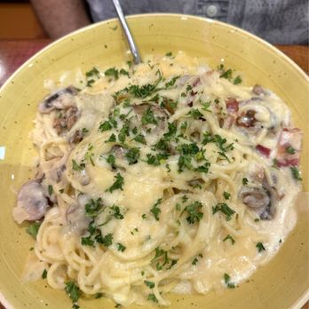 Carnegie Diner & Cafe - Wonderful Carbonara with Bacon and Mushrooms - Diners Near Me - Vienna, Virginia Carnegie Diner & Cafe - Wonderful Carbonara with Bacon and Mushrooms - Diners Near Me - Vienna, Virginia