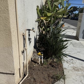 Salazar Tree care - Clean removal by Arturo Salazar - Tree Services Near Me Salazar Tree care - Clean removal by Arturo Salazar - Tree Services Near Me