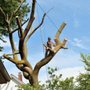 Photo of The Tree People
