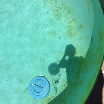 Clean Water Pools - Before - Pool Cleaners Near Me Clean Water Pools - Before - Pool Cleaners Near Me