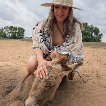 Calvary Farms - The donkey's love the head rubs. - Attraction Farms Near Me - Adkins, Texas
