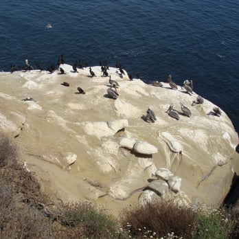 La Jolla Cove - Parks Near Me - La Jolla, California La Jolla Cove - Parks Near Me - La Jolla, California