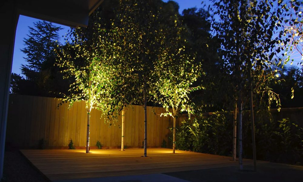 DUCKS LANDSCAPING AND PROPERTY LAND MANAGEMENT Updated June 2024 21