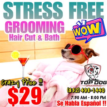 Top Dog Grooming - Pet Groomers Near Me - Conroe, Texas