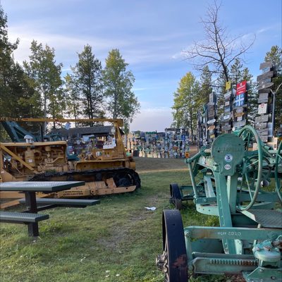 Sign Post Forest by null