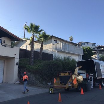 Joel's Tree Service - Tree Services Near Me Joel's Tree Service - Tree Services Near Me