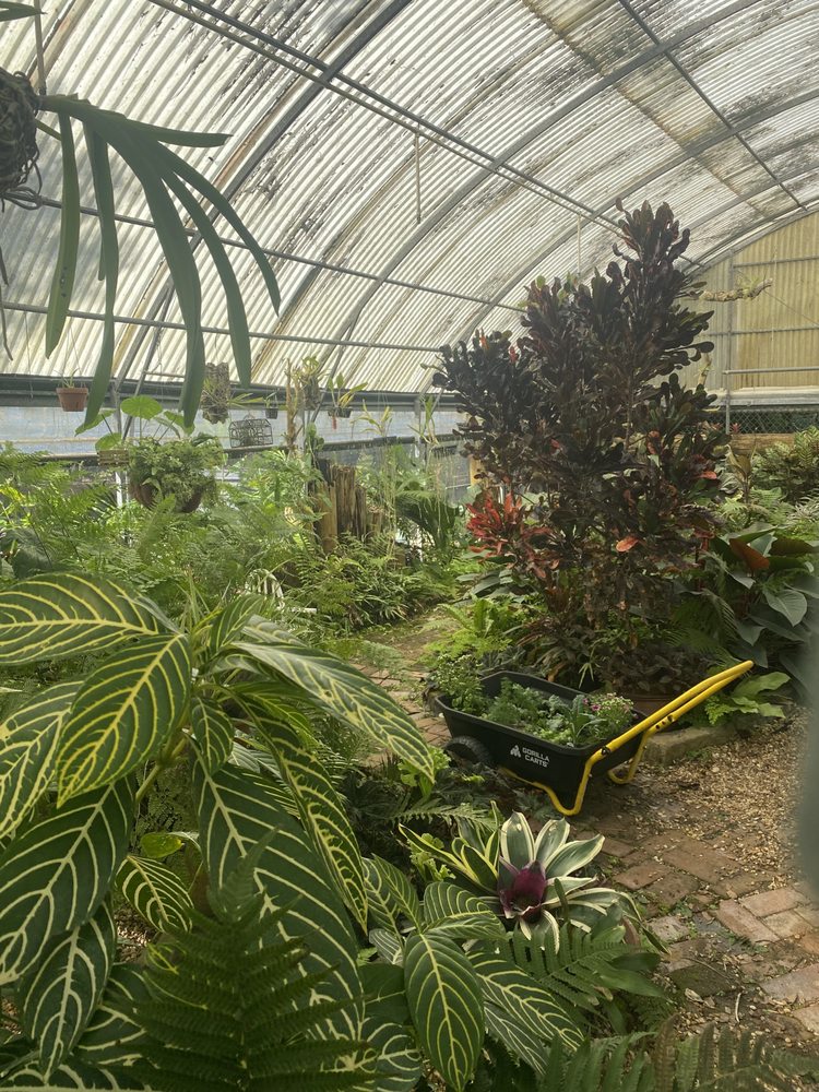 Slide of Paradise Island Services