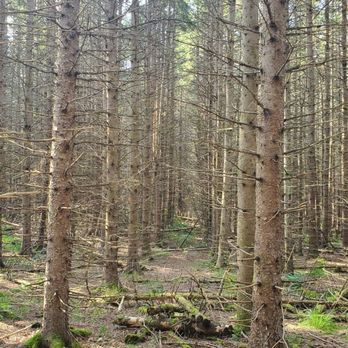 Killarney Provincial Park - Parks Near Me - Killarney, Ontario