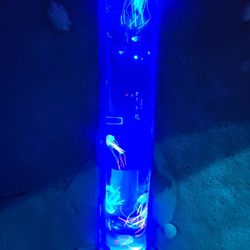 Portal Adventures - Beaverton - Jellyfish swimming.