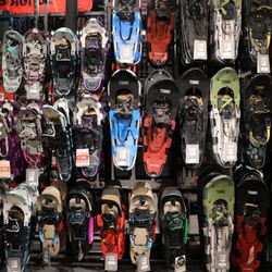 Bike Board and Ski