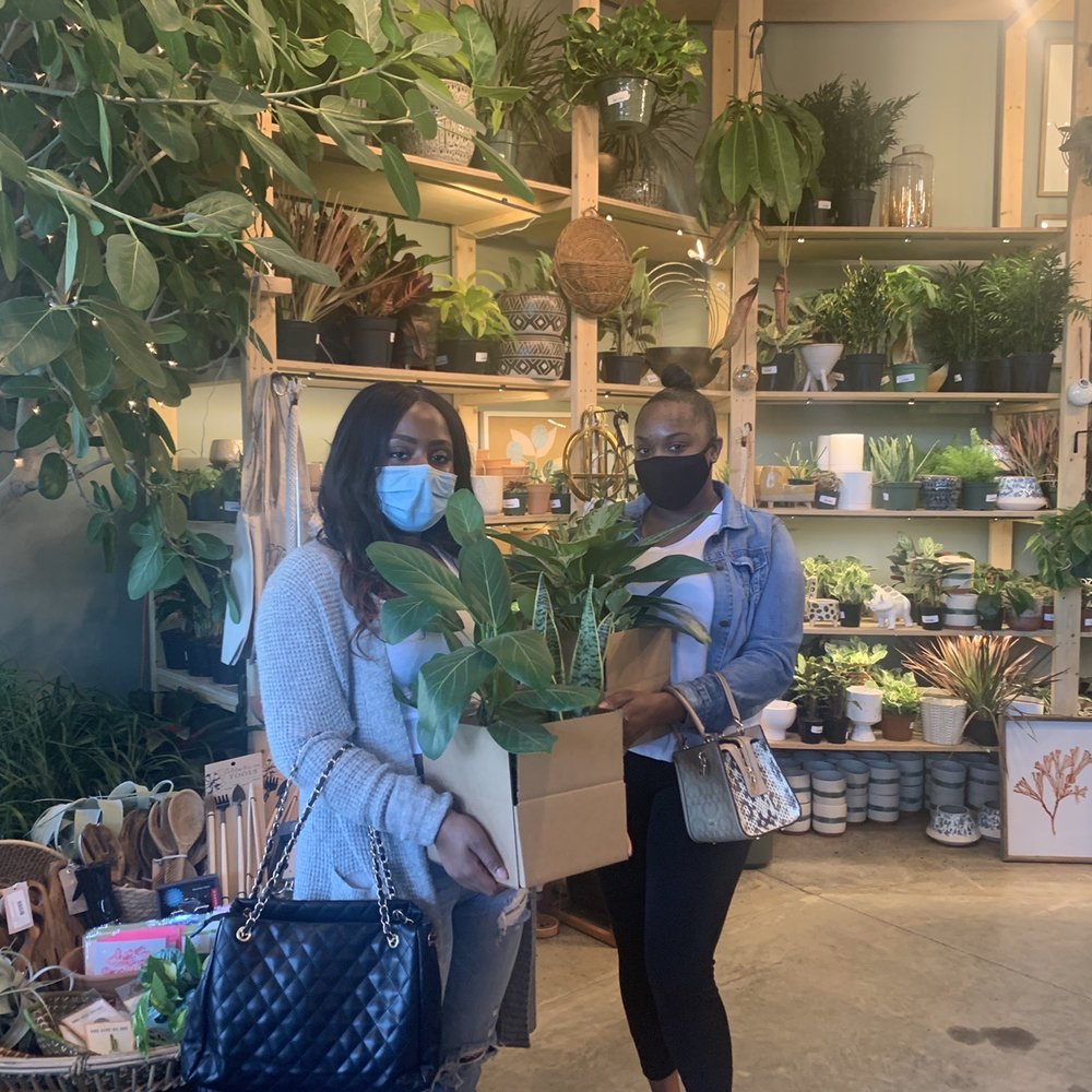 PlantHouse - Nurseries & Gardening Near Me - Charlotte, North Carolina