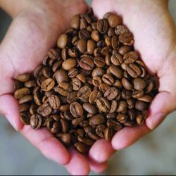 Don Pablo Coffee Roasters 