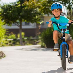 Jen's Cycles - GIANT ANIMATOR 16" KIDS BIKE