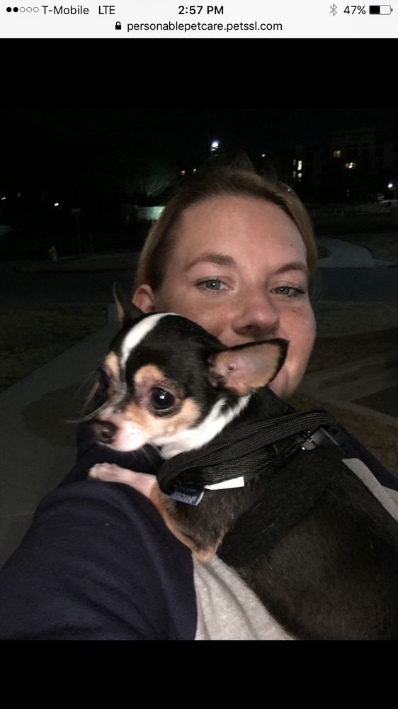 PERSONABLE PET CARE PET SITTERS Updated September 2024 46 Photos & 15 Reviews Frisco