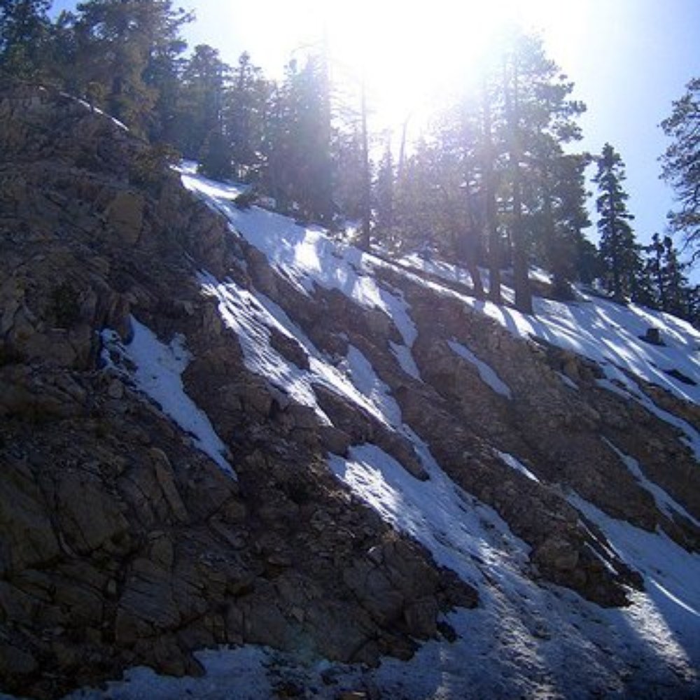 Angeles National Forest - Angeles Crest National Park - Parks Near Me - Arcadia, California