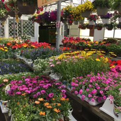 McDonald Nursery