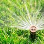 Photo of Discount Sprinklers And Landscapes