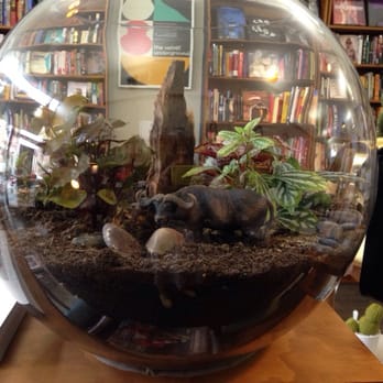 Happy Valley - Giant terrarium - Bookstores Near Me - Collingwood, VIC