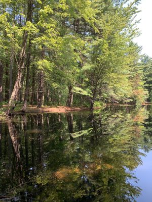 Dow Gardens and the Whiting Forest of Dow Gardens by null
