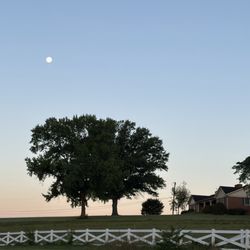 The Village Inn - View from front porch