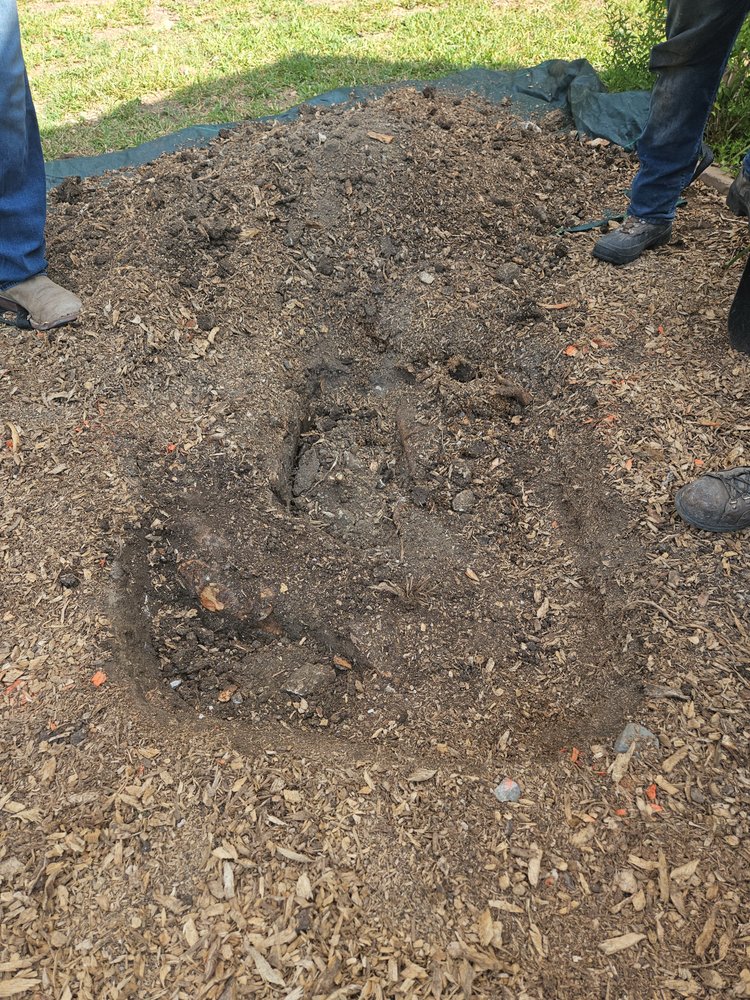 Buchanan Tree Service - tree service in San Antonio, TX