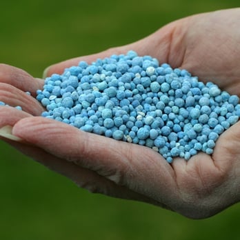 Going Green Lawn Services - Lawn OverSeeding - Lawn Services Near Me - Cedar Hill, Missouri Going Green Lawn Services - Lawn OverSeeding - Lawn Services Near Me - Cedar Hill, Missouri