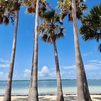High & Dry Grill - Paradise, pretty much. - Tiki Bars Near Me - Dunedin, Florida High & Dry Grill - Paradise, pretty much. - Tiki Bars Near Me - Dunedin, Florida