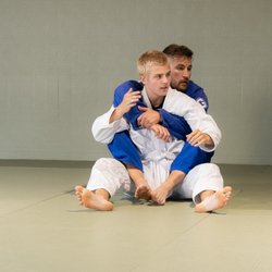 Artista Brazilian Jiu-Jitsu