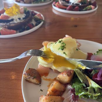 Greenhouse Penryn - Salad Near Me - Penryn, California
