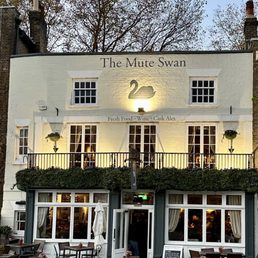 The Mute Swan (across from Hampton Place Palace) The Mute Swan (across from Hampton Place Palace)
